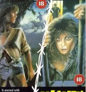 Woman Hunt/Women In Cages on VHS from Allied Home Entertainment